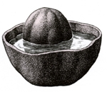 atambourdeau.jpg